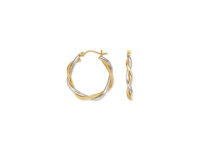 Two Tone Plated | Fashion Earrings